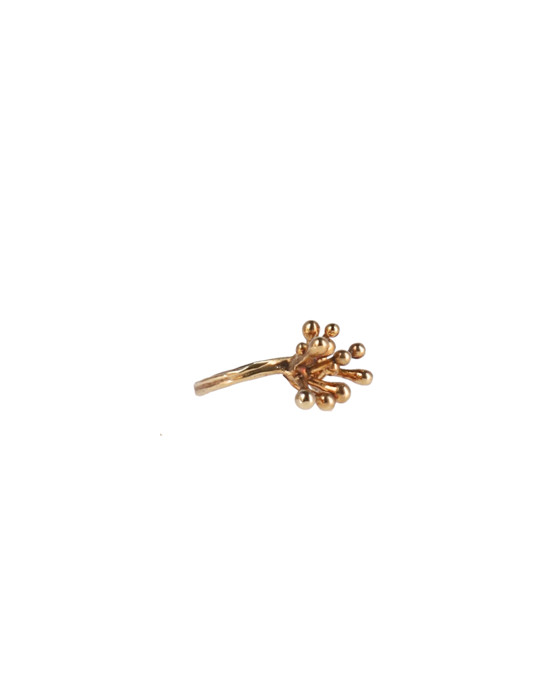 Ginkgo Ring Coral Small