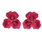 Fuchsia Pink