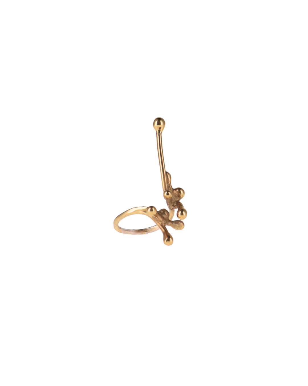 Ginkgo Ring Coral Large