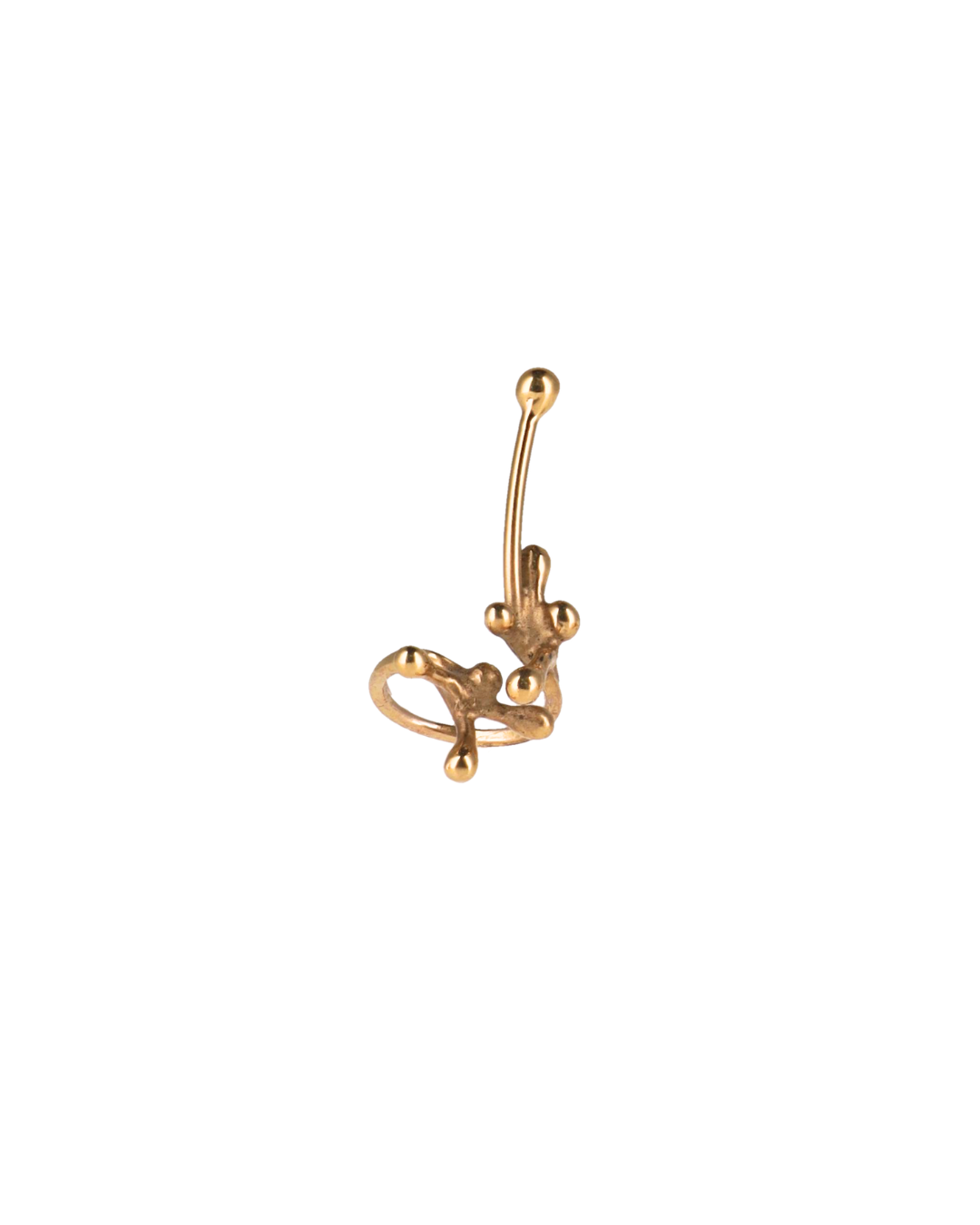 Ginkgo Ring Coral Large