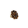 Tigers Eye