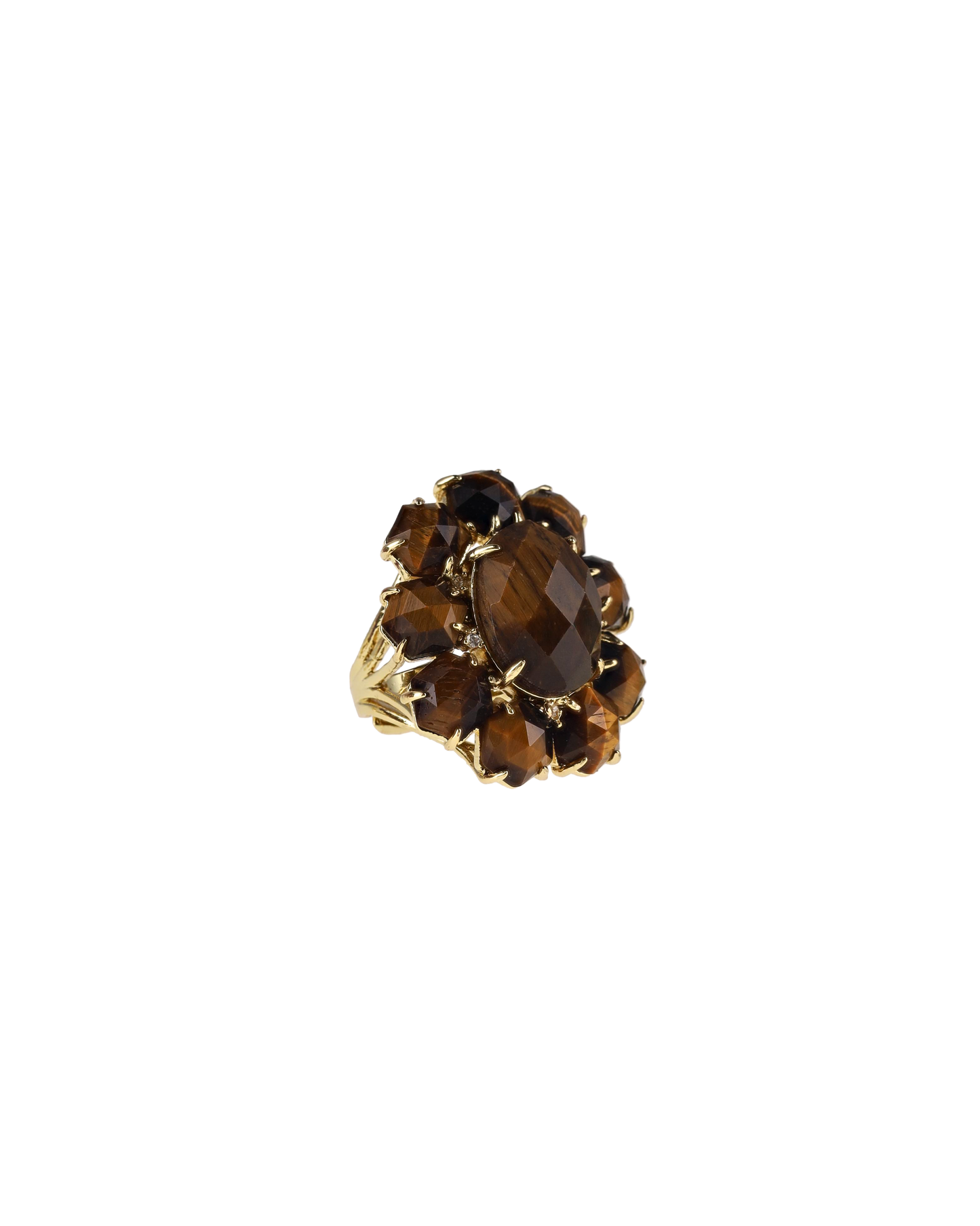 Pasha Rings