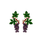 Purple Grapes