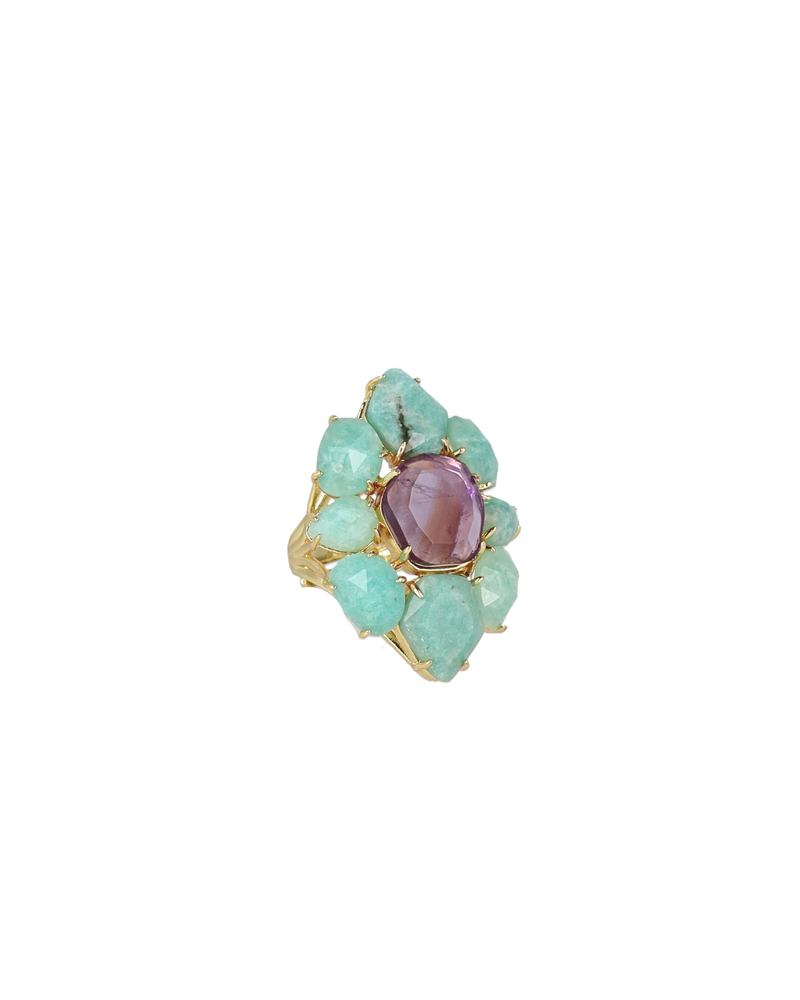 Sasha Rings